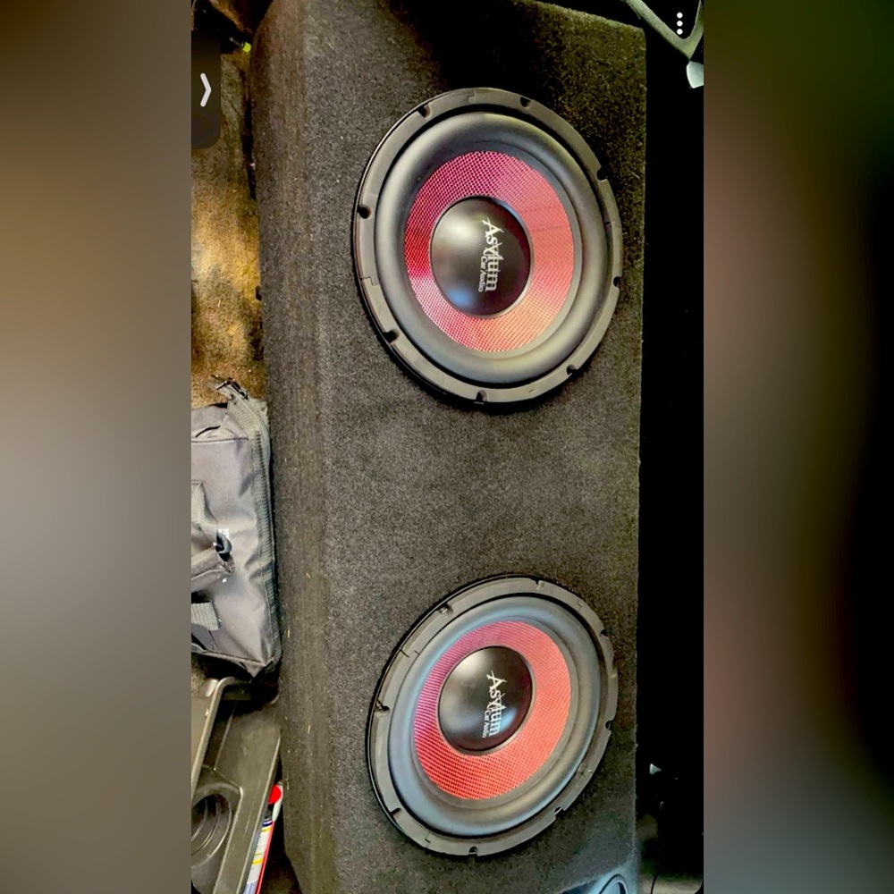 2 12” subs asylum